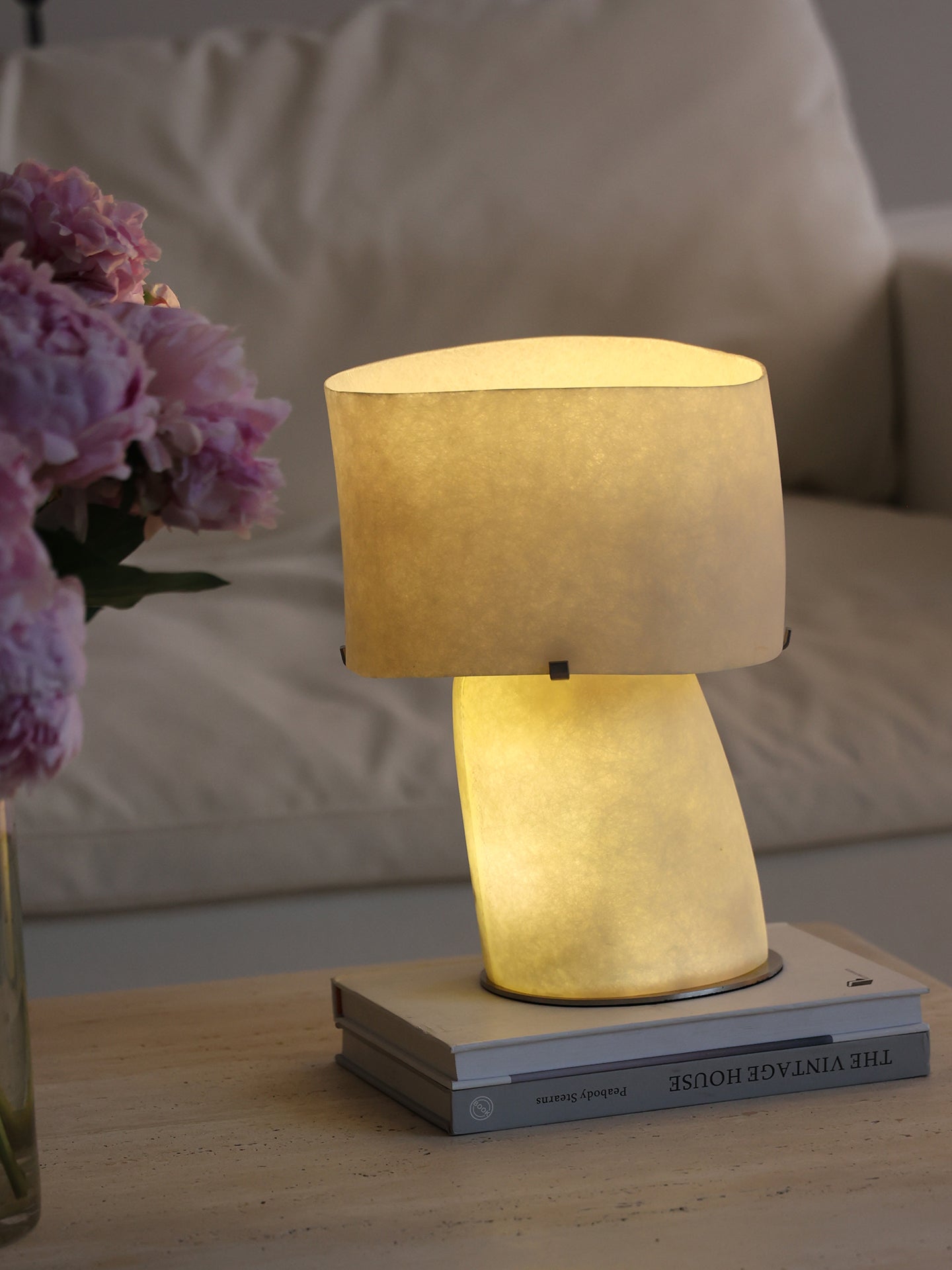 Vellum Moderne Minimaliste Plastique Métal Lampe de Table