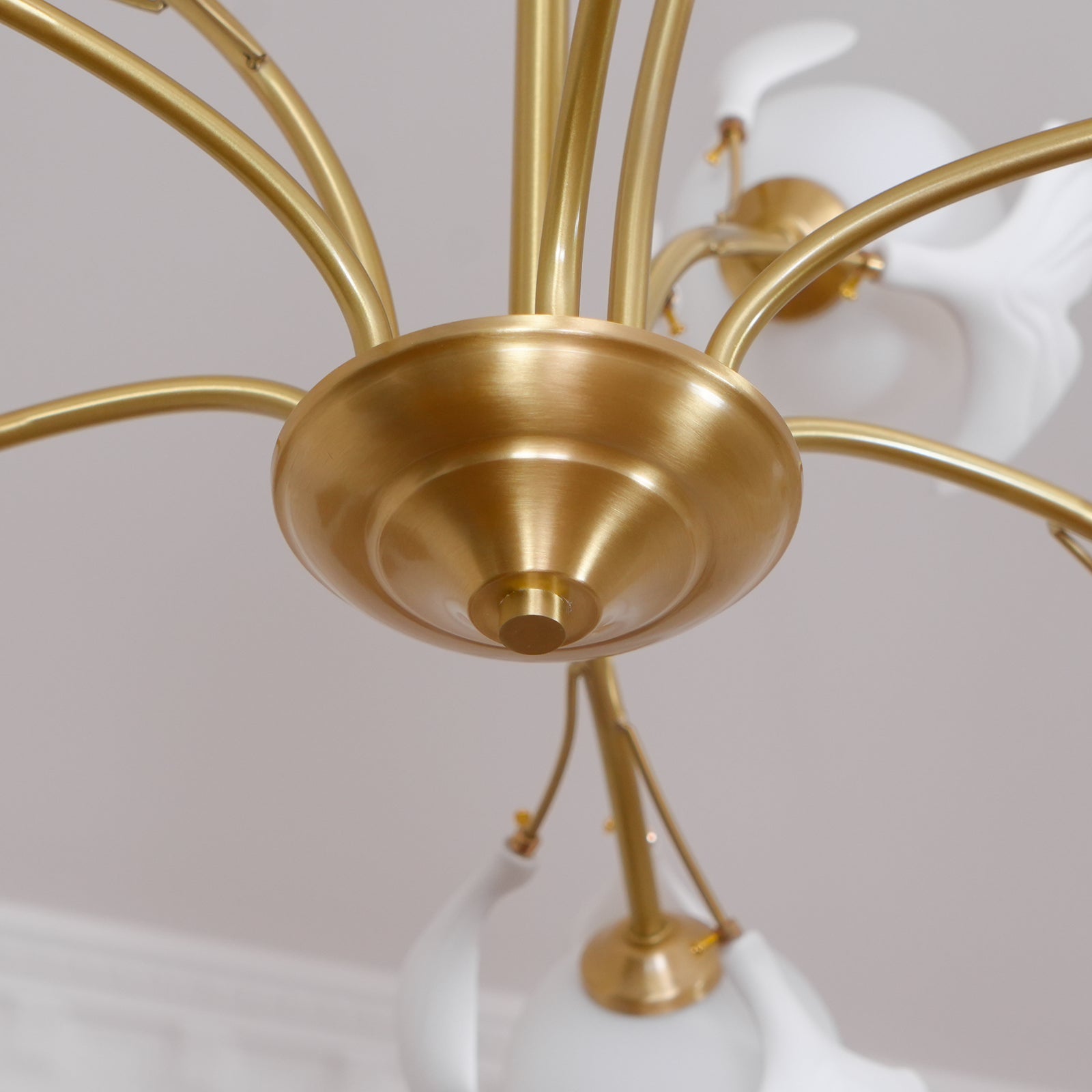 Ginkgo Leaf Chandelier with Frosted Glass Globes - Letslighting